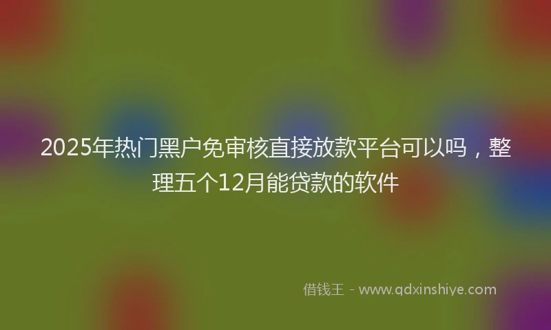 2025年热门黑户免审核直接放款平台可以吗，整理五个12月能贷款的软件