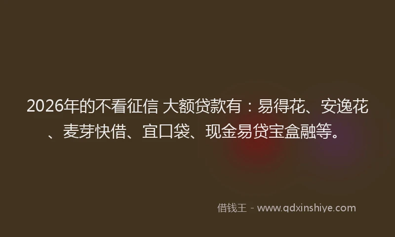 2026年的不看征信 大额贷款有:易得花、安逸花、麦芽快借、宜口袋、现金易贷宝盒融等。
