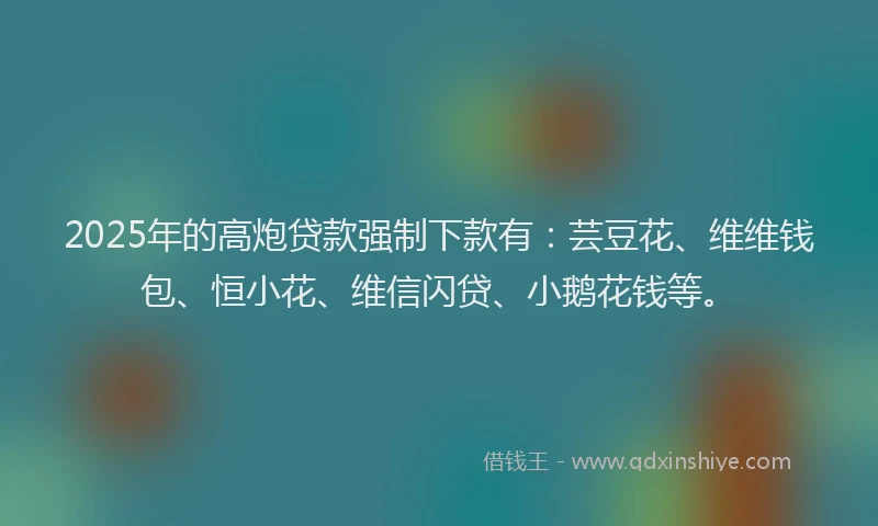 2025年的高炮贷款强制下款有：芸豆花、维维钱包、恒小花、维信闪贷、小鹅花钱等。