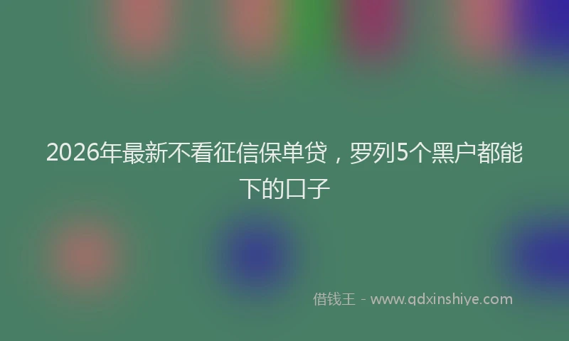 2026年最新不看征信保单贷，罗列5个黑户都能下的口子