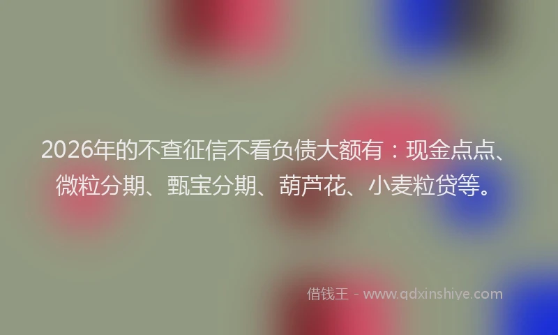 2026年的不查征信不看负债大额有：现金点点、微粒分期、甄宝分期、葫芦花、小麦粒贷等。