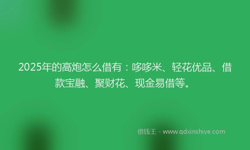 2025年的高炮怎么借有:哆哆米、轻花优品、借款宝融、聚财花、现金易借等。