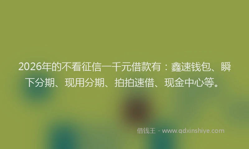 2026年的不看征信一千元借款有:鑫速钱包、瞬下分期、现用分期、拍拍速借、现金中心等。