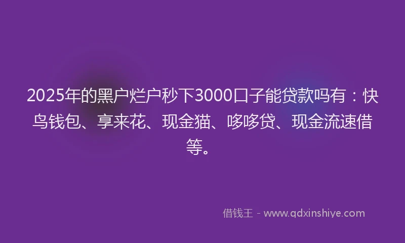 2025年的黑户烂户秒下3000口子能贷款吗有:快鸟钱包、享来花、现金猫、哆哆贷、现金流速借等。