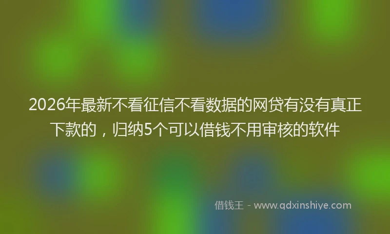 2026年最新不看征信不看数据的网贷有没有真正下款的,归纳5个可以借钱不用审核的软件