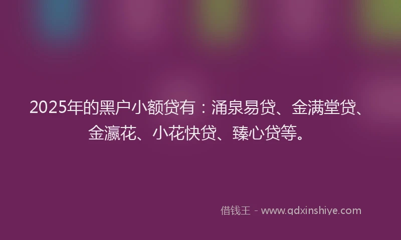 2025年的黑户小额贷有：涌泉易贷、金满堂贷、金瀛花、小花快贷、臻心贷等。