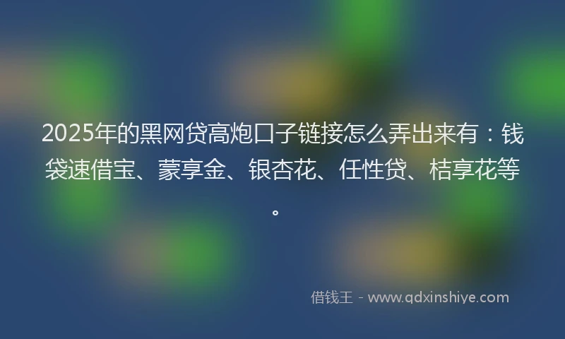 2025年的黑网贷高炮口子链接怎么弄出来有：钱袋速借宝、蒙享金、银杏花、任性贷、桔享花等。