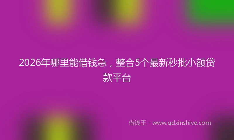 2026年哪里能借钱急,整合5个最新秒批小额贷款平台