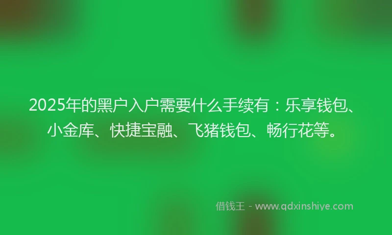2025年的黑户入户需要什么手续有:乐享钱包、小金库、快捷宝融、飞猪钱包、畅行花等。