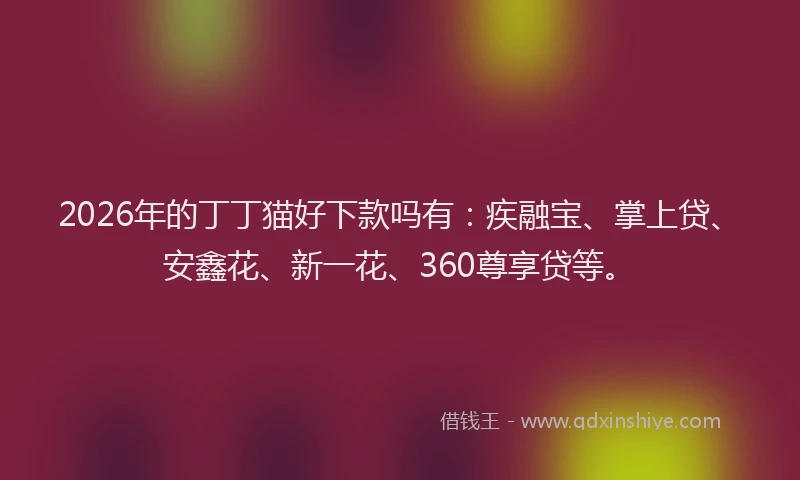 2026年的丁丁猫好下款吗有：疾融宝、掌上贷、安鑫花、新一花、360尊享贷等。
