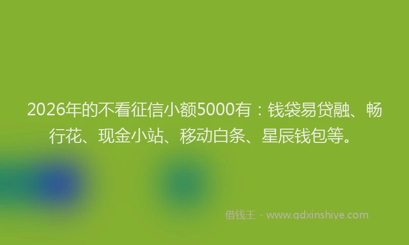 2026年的不看征信小额5000有：钱袋易贷融、畅行花、现金小站、移动白条、星辰钱包等。