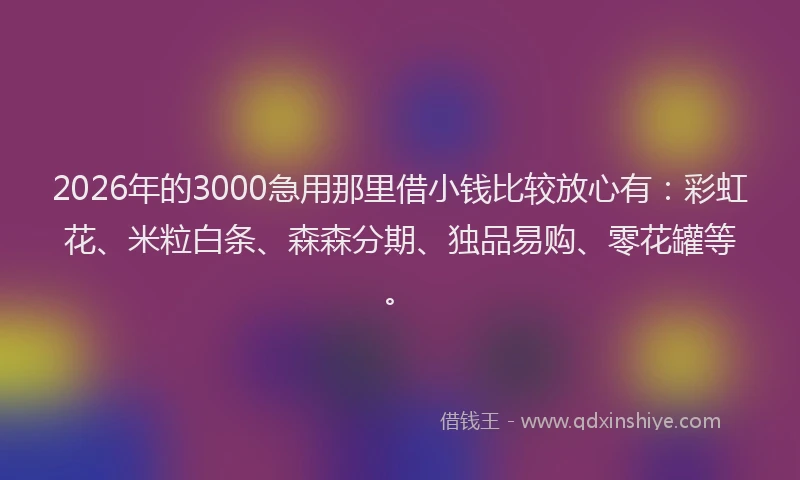 2026年的3000急用那里借小钱比较放心有：彩虹花、米粒白条、森森分期、独品易购、零花罐等。