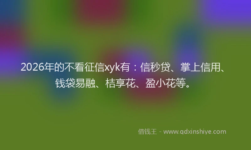 2026年的不看征信xyk有:信秒贷、掌上信用、钱袋易融、桔享花、盈小花等。