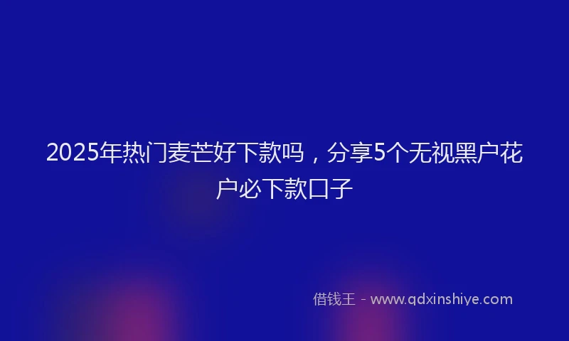 2025年热门麦芒好下款吗，分享5个无视黑户花户必下款口子