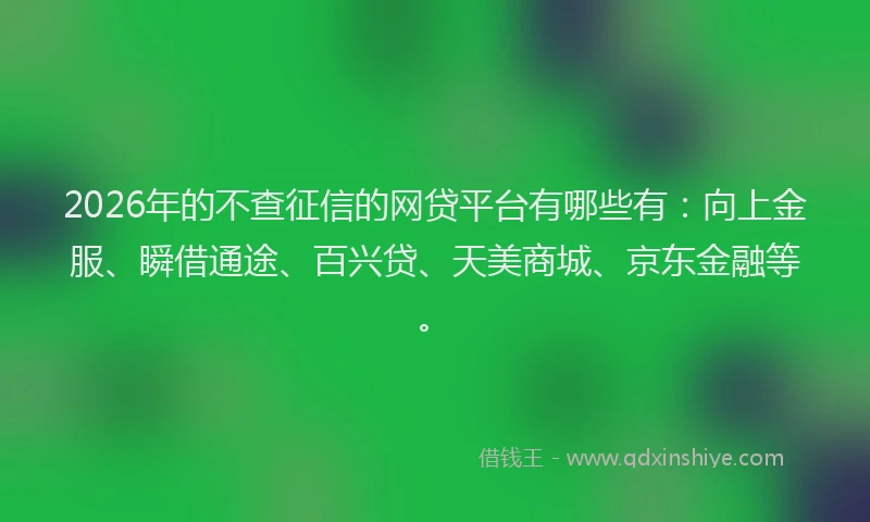 2026年的不查征信的网贷平台有哪些有：向上金服、瞬借通途、百兴贷、天美商城、京东金融等。