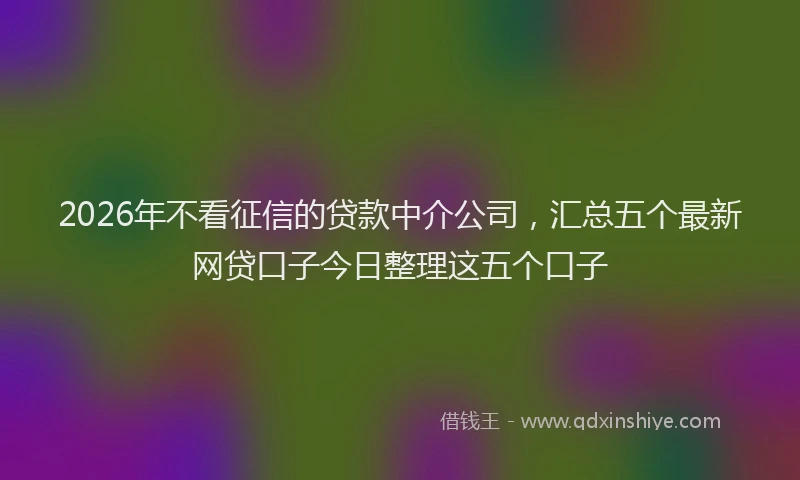 2026年不看征信的贷款中介公司，汇总五个最新网贷口子今日整理这五个口子