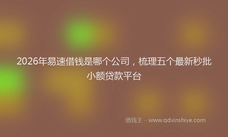 2026年易速借钱是哪个公司,梳理五个最新秒批小额贷款平台