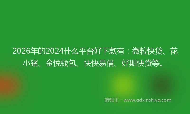 2026年的2024什么平台好下款有:微粒快贷、花小猪、金悦钱包、快快易借、好期快贷等。