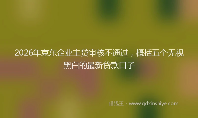 2026年京东企业主贷审核不通过，概括五个无视黑白的最新贷款口子