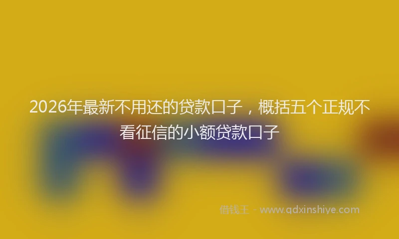 2026年最新不用还的贷款口子,概括五个正规不看征信的小额贷款口子
