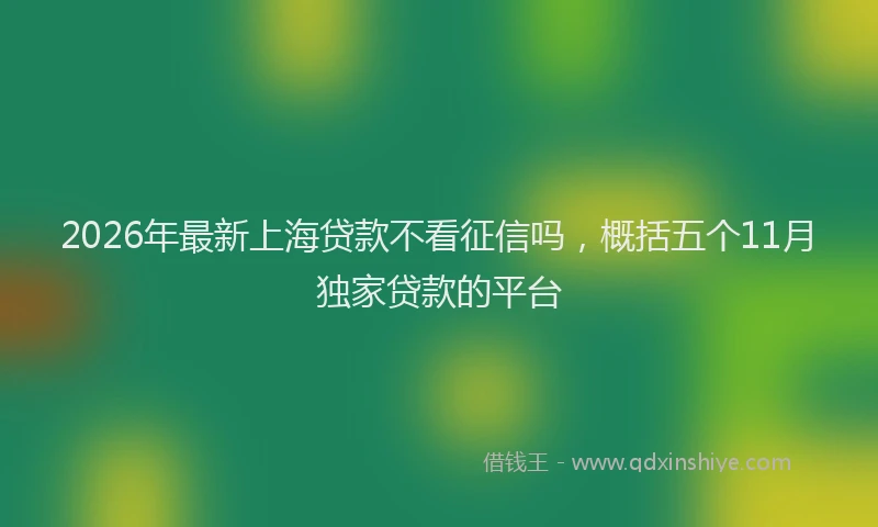 2026年最新上海贷款不看征信吗,概括五个11月独家贷款的平台