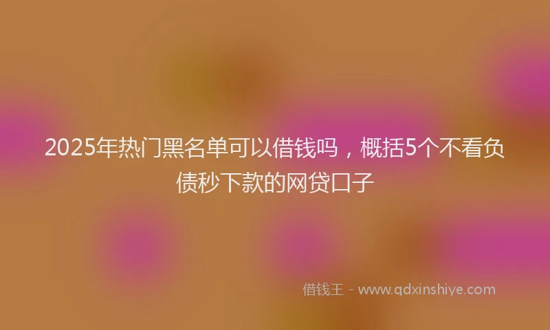 2025年热门黑名单可以借钱吗，概括5个不看负债秒下款的网贷口子