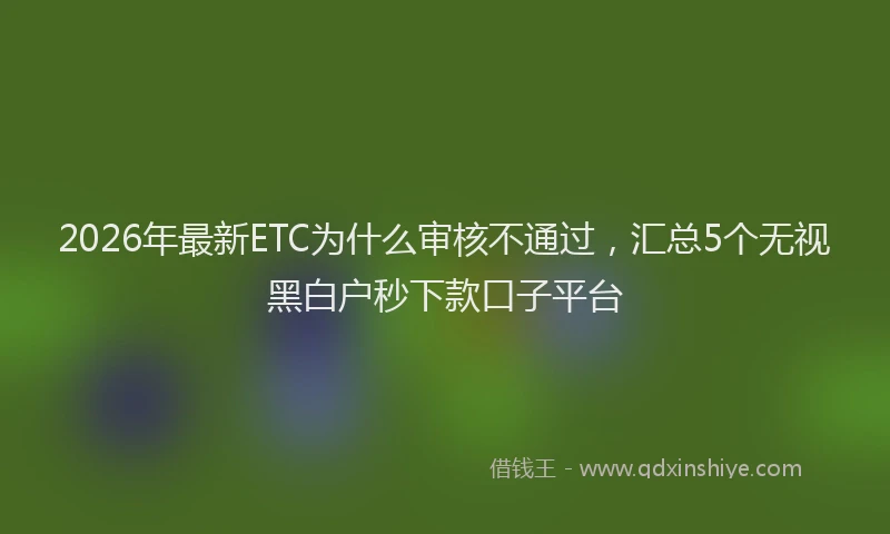 2026年最新ETC为什么审核不通过，汇总5个无视黑白户秒下款口子平台
