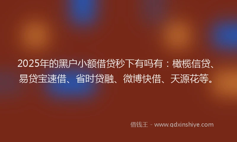 2025年的黑户小额借贷秒下有吗有：橄榄信贷、易贷宝速借、省时贷融、微博快借、天源花等。