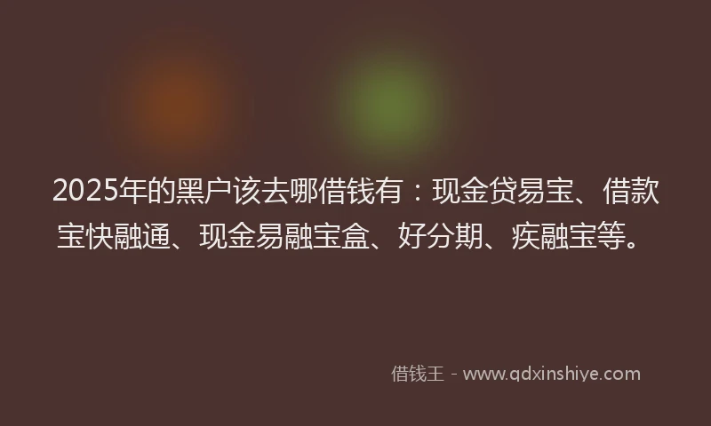 2025年的黑户该去哪借钱有：现金贷易宝、借款宝快融通、现金易融宝盒、好分期、疾融宝等。