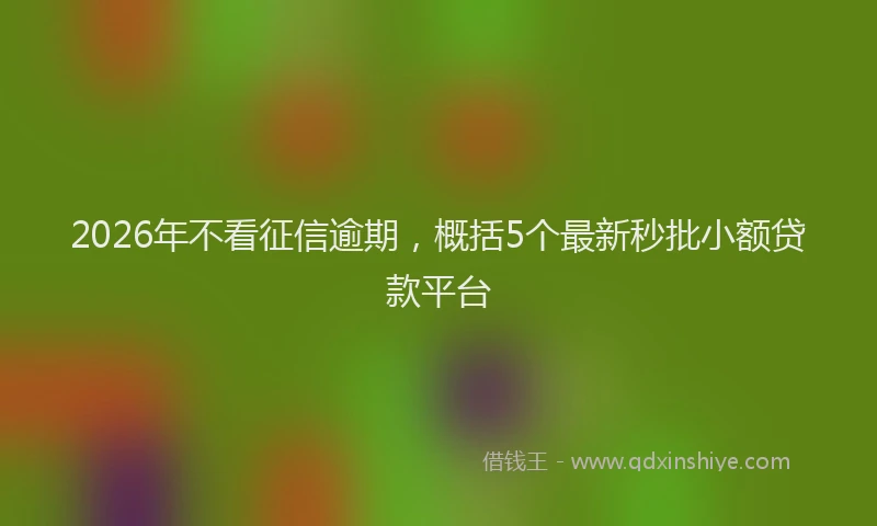 2026年不看征信逾期，概括5个最新秒批小额贷款平台