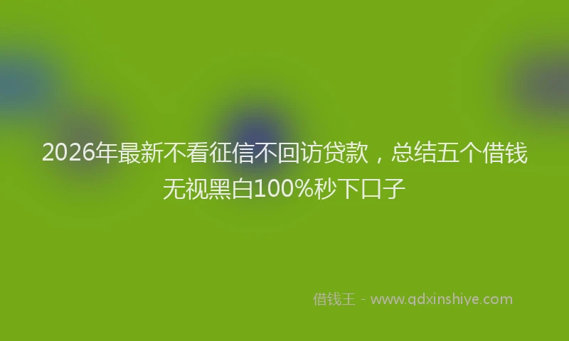 2026年最新不看征信不回访贷款,总结五个借钱无视黑白100%秒下口子