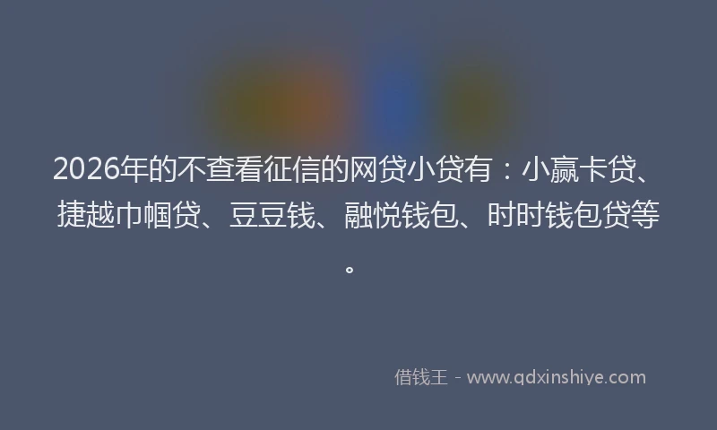 2026年的不查看征信的网贷小贷有：小赢卡贷、捷越巾帼贷、豆豆钱、融悦钱包、时时钱包贷等。