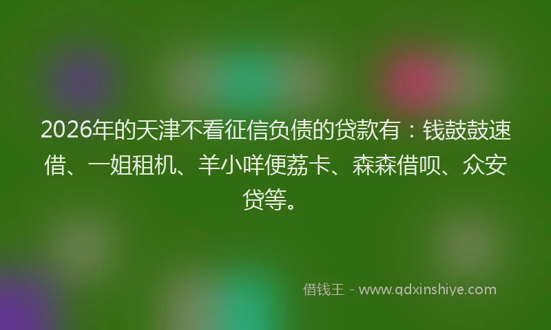 2026年的天津不看征信负债的贷款有：钱鼓鼓速借、一姐租机、羊小咩便荔卡、森森借呗、众安贷等。