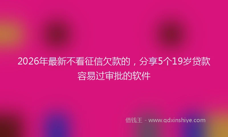 2026年最新不看征信欠款的,分享5个19岁贷款容易过审批的软件