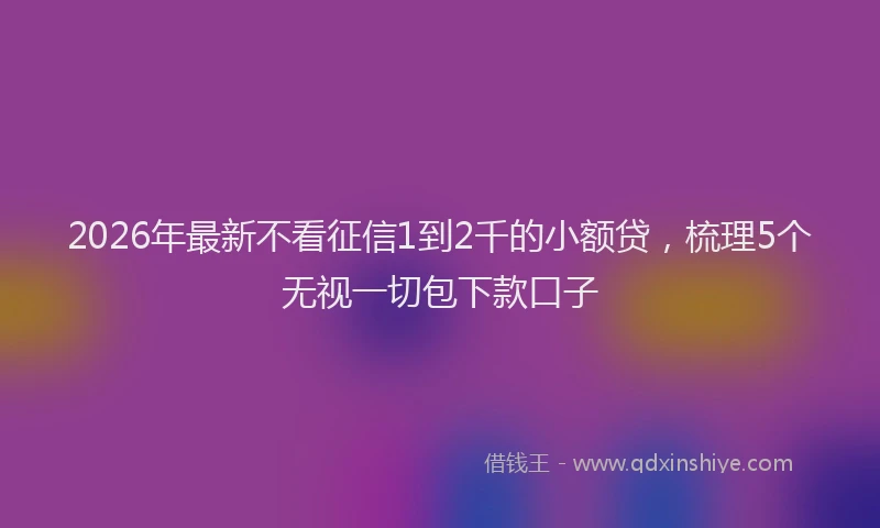 2026年最新不看征信1到2千的小额贷，梳理5个无视一切包下款口子