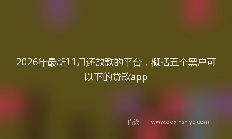 2026年最新11月还放款的平台，概括五个黑户可以下的贷款app