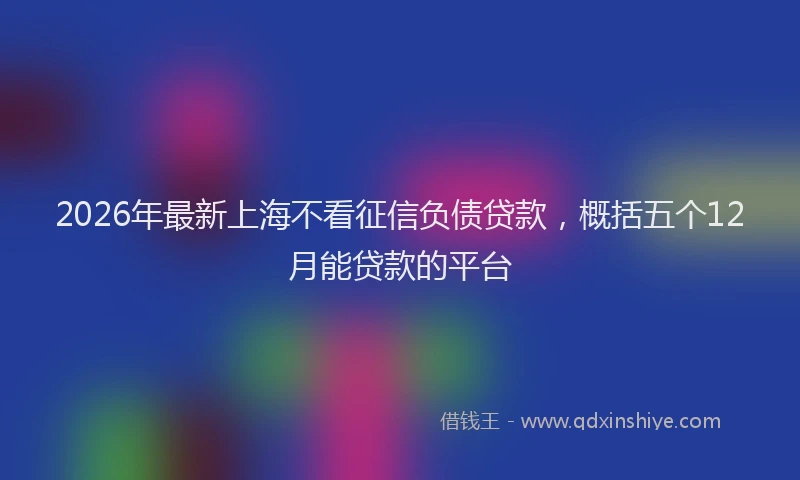 2026年最新上海不看征信负债贷款，概括五个12月能贷款的平台