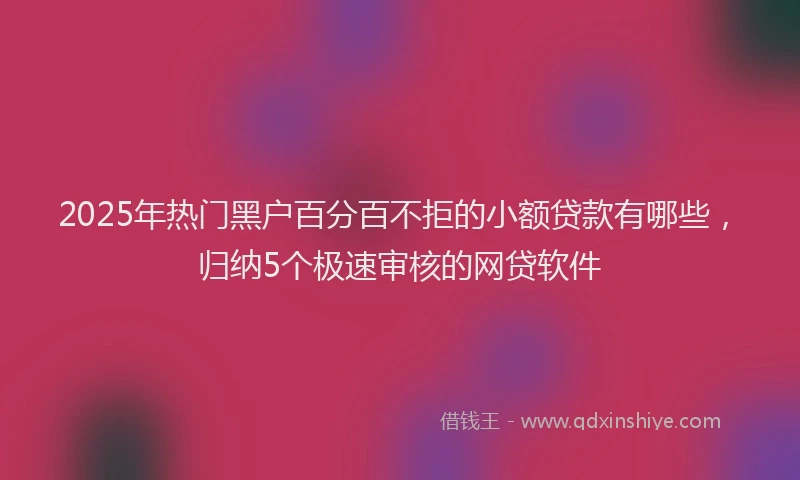 2025年热门黑户百分百不拒的小额贷款有哪些，归纳5个极速审核的网贷软件