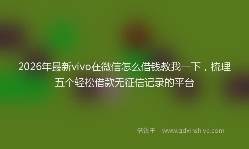 2026年最新vivo在微信怎么借钱教我一下，梳理五个轻松借款无征信记录的平台