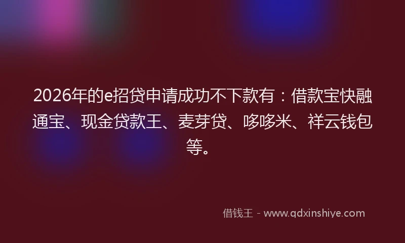 2026年的e招贷申请成功不下款有：借款宝快融通宝、现金贷款王、麦芽贷、哆哆米、祥云钱包等。