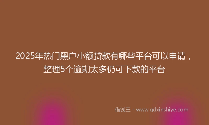 2025年热门黑户小额贷款有哪些平台可以申请，整理5个逾期太多仍可下款的平台
