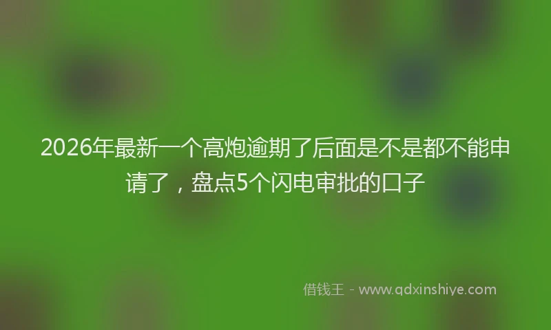 2026年最新一个高炮逾期了后面是不是都不能申请了，盘点5个闪电审批的口子