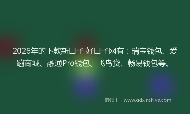 2026年的下款新口子 好口子网有:瑞宝钱包、爱蹦商城、融通Pro钱包、飞鸟贷、畅易钱包等。