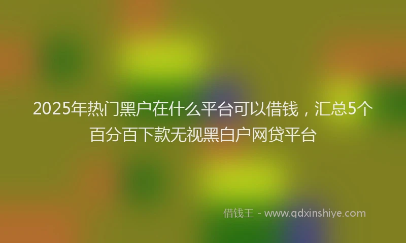 2025年热门黑户在什么平台可以借钱，汇总5个百分百下款无视黑白户网贷平台