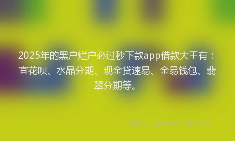 2025年的黑户烂户必过秒下款app借款大王有:宜花呗、水晶分期、现金贷速易、金易钱包、翡翠分期等。