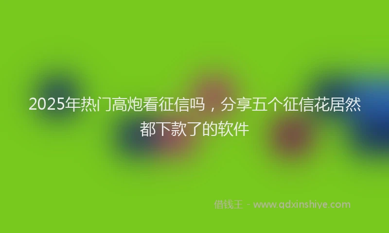 2025年热门高炮看征信吗，分享五个征信花居然都下款了的软件