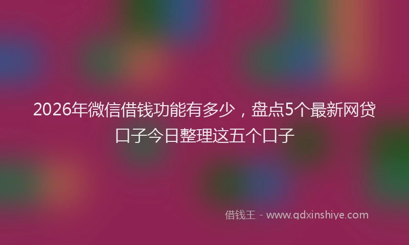 2026年微信借钱功能有多少,盘点5个最新网贷口子今日整理这五个口子