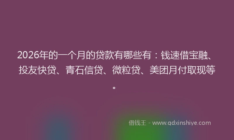 2026年的一个月的贷款有哪些有：钱速借宝融、投友快贷、青石信贷、微粒贷、美团月付取现等。