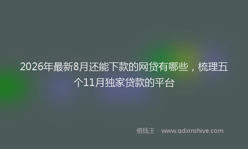 2026年最新8月还能下款的网贷有哪些，梳理五个11月独家贷款的平台