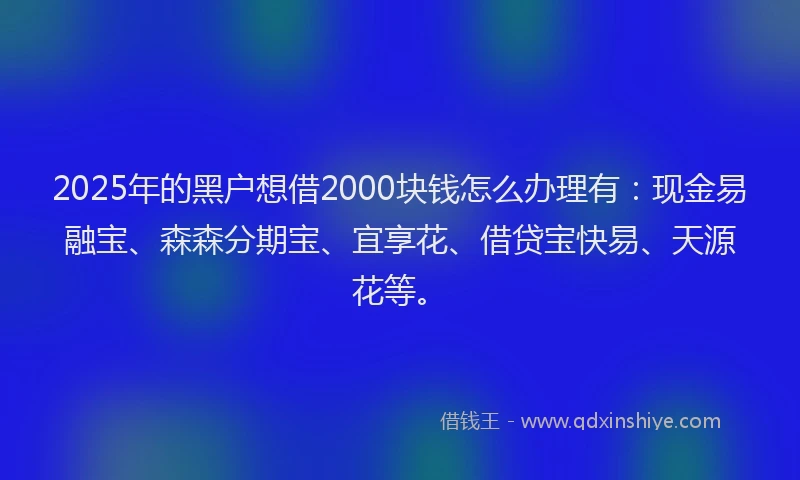 2025年的黑户想借2000块钱怎么办理有：现金易融宝、森森分期宝、宜享花、借贷宝快易、天源花等。